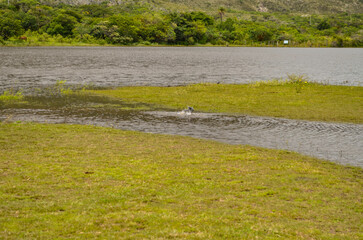 Lake in the village of Lapinha da Serra in the state of Minas Gerais in Brazil.
This lake was formed by an electric power company to generate energy for the region. But its scenic beauty attracts tour