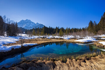 winter landscape in Zelenci, Slovenia