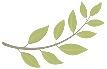 branch with leaves