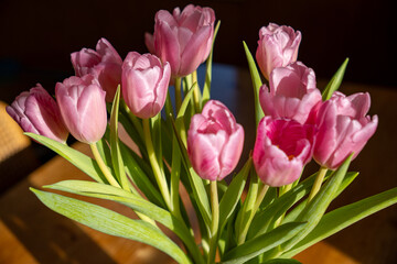 A spring greeting: close-up of a bouquet of 10 pink tulips with fresh green leaves on a wooden table