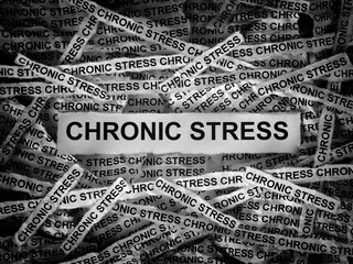 Strips of newspaper with the words Chronic Stress typed on them. Black and white. Close up.