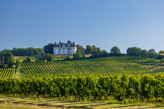 Chateau Monbazillac ( Monbazillac castle) with vineyards, Aquitaine, France
