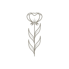 female flower line logo design vector image