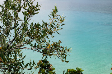2023-Grece-0081