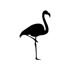 Obraz premium flamingo vector