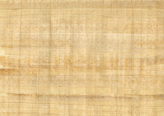 a flat sheet of papyrus in a light golden brown color with clearly visible texture, original paper of ancient Egypt