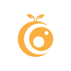 orange eye fruit logo design vector image