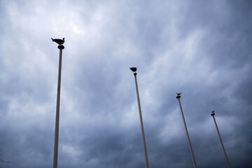 Fototapeta na wymiar Four birds are sitting on four poles under a cloudy sky