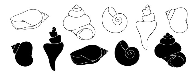 Set of linear sketches and silhouettes of seashells.Vector graphics. - obrazy, fototapety, plakaty