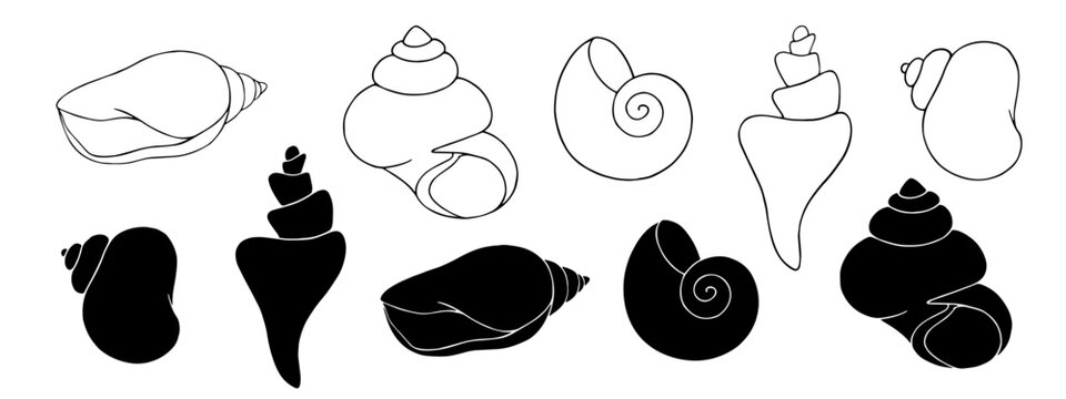 Set of linear sketches and silhouettes of seashells.Vector graphics.