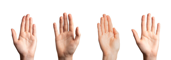 Hands, palms gesturing up, saying hi, greeting, hello, bye isolated on white - Powered by Adobe