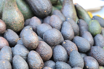 Avocado also refers to the Avocado tree's fruit, which is botanically a large berry containing a single seed. Avocados are very nutritious and contain a wide variety of nutrients.