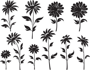 Fototapeta na wymiar Flowers silhouette design illustration bundle