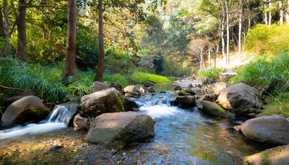 stream in the forest
