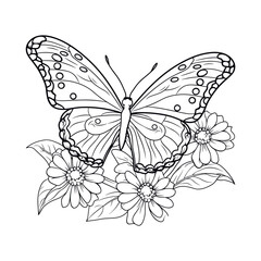 Butterfly on flowers illustration coloring page - coloring book © naina