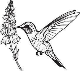 Hummingbird line art silhouette illustration design vector
