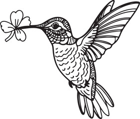 Hummingbird line art silhouette illustration design vector