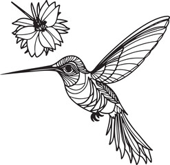 Hummingbird line art silhouette illustration design vector