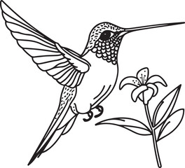 Hummingbird line art silhouette illustration design vector
