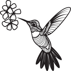 Hummingbird line art silhouette illustration design vector