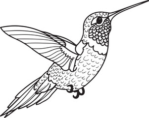 Hummingbird line art silhouette illustration design vector