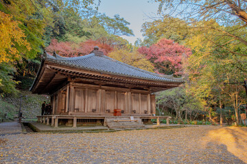 temple autumn leaves in japan
