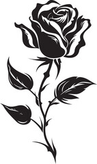Rose Flower editable silhouette vector illustration design