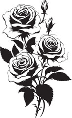 Rose Flower editable silhouette vector illustration design
