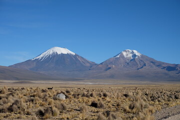 Anden Sajama © Michael