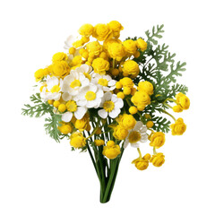 flower - Tansy: Hostile thoughts (4)