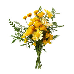 flower - Tansy: Hostile thoughts (4)