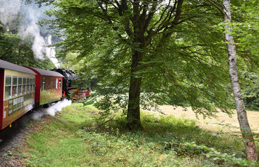 Dampflok der Harzer Schmalspurbahn fährt durch den Harz 
