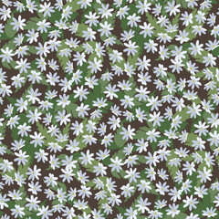 Vector floral seamless pattern, white small flowers on a background with leaves