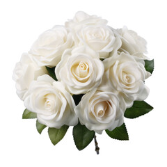 flower - Rose (White): Purity and innocence (2)