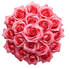 Obraz premium 100 Rose deep Pink Sweetness and admiration 