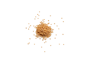 Heap of organic dry yellow mustard seeds isolated on a transparent background with shadows from above, top view, png