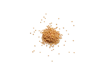 Fotobehang Heap of organic dry yellow mustard seeds isolated on a transparent background with shadows from above, top view, png © ydumortier