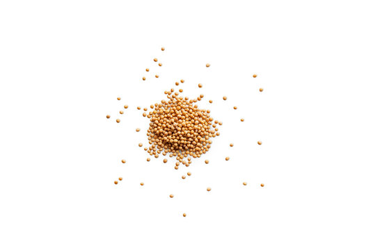 Heap of organic dry yellow mustard seeds isolated on a transparent background with shadows from above, top view, png