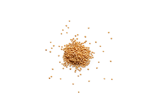 Heap of organic dry yellow mustard seeds isolated on a transparent background with shadows from above, top view, png