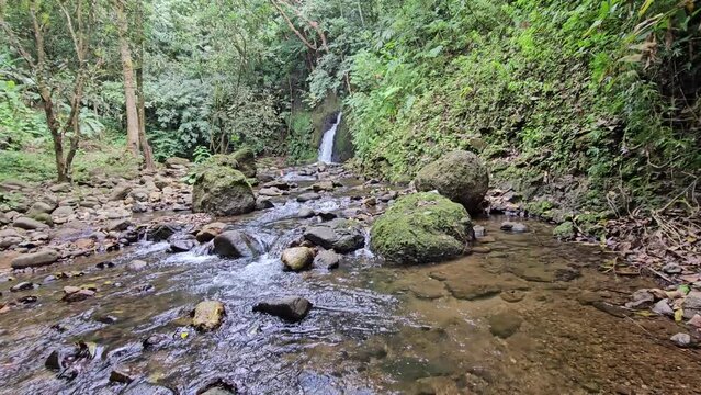Chorro la vaca Turega 