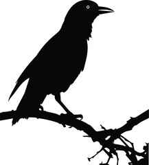 Halloween Crow silhouette - crow, Bird, Raven, Bird, halloween decor.
