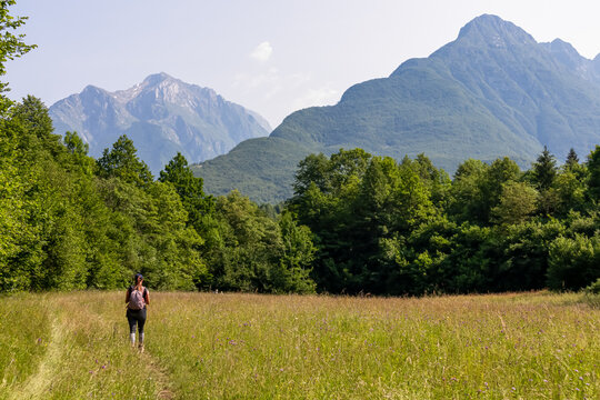 Hiker woman on scenic hiking trail on alpine meadow looking at mount Svinjak in Bovec, Julian Alps, Slovenia. Majestic mountain peaks in serene Soca valley. Wanderlust hiking in untamed Slovenian Alps
