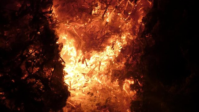 Burning leaves and embers in the night. Fire in the night, air pollution