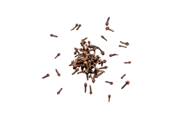 Closeup of organic dry spice cloves isolated on a transparent without shadows background from above, top view