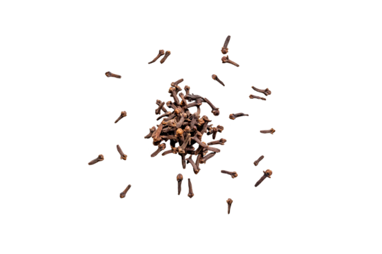 Closeup of organic dry spice cloves isolated on a transparent without shadows background from above, top view