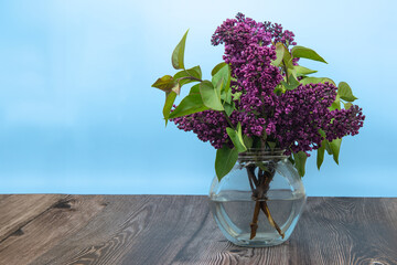 bouquet of beautiful blooming lilacs spring flowers with space for text