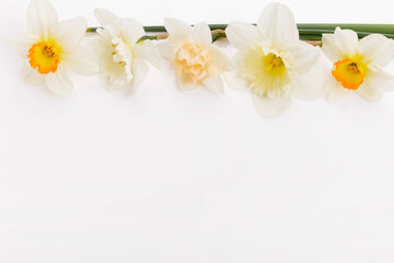 Obraz premium Spring frame of yellow daffodils, flower arrangement