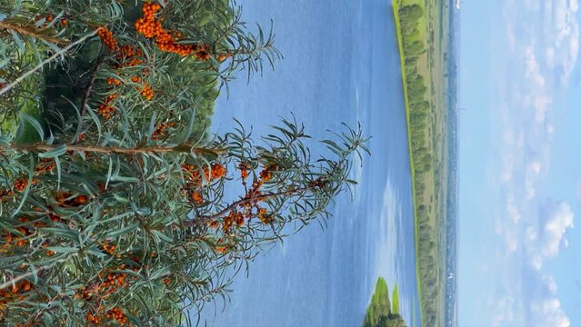 Picturesque view of the Kama River from the observation deck at the Yelabuga settlement. The movement of clouds over the river. Lower Kama National Park. Yelabuga, Republic of Tatarstan, Russia, 4K