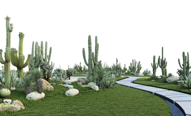 Garden cactus on transparent background