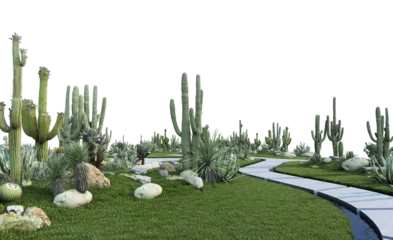 Zelfklevend Fotobehang Garden cactus on transparent background © jomphon